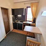 Apartament Petrisberg *