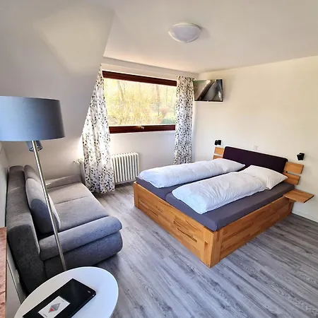 Apartament Petrisberg
